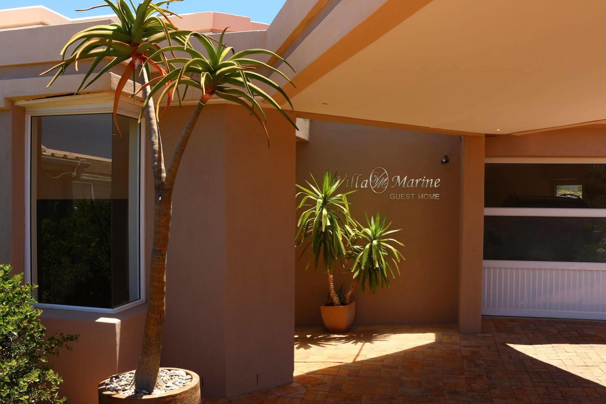 Villa Marine Guest House Pringle Bay Zewnętrze zdjęcie